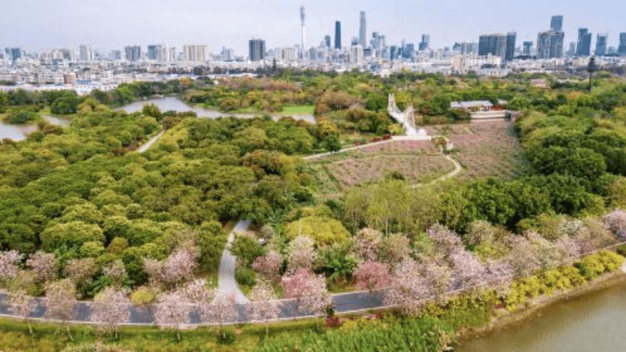 Haizhu National Wetland Park